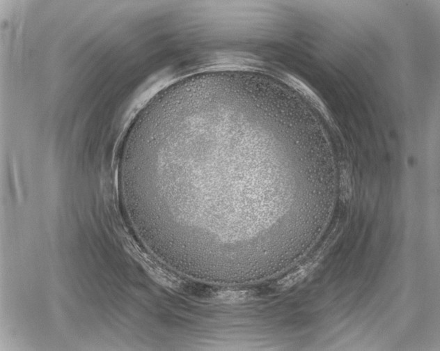 X0000059821419200510241344