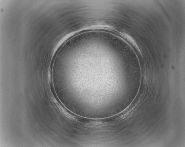 X0000059821420200510241344