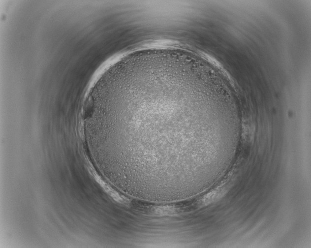 X0000059821421200510241344