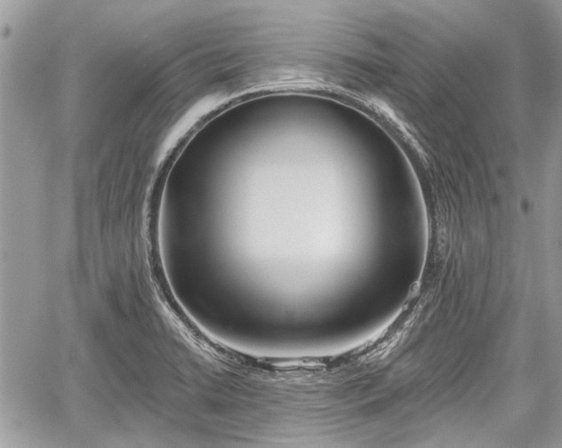 X0000059821422200510241344