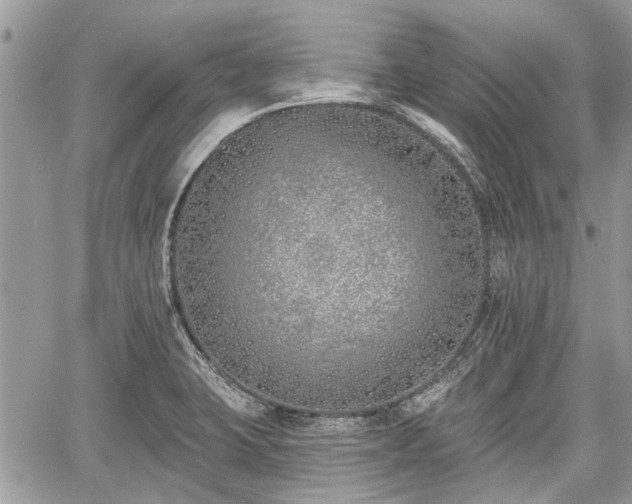 X0000059821423200510241344