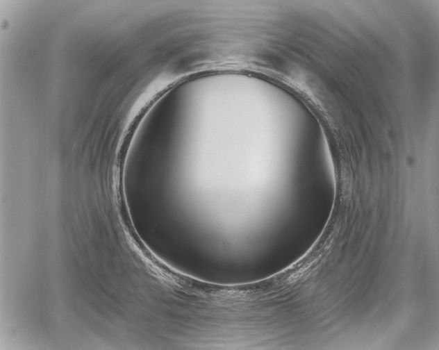 X0000059821424200510241344