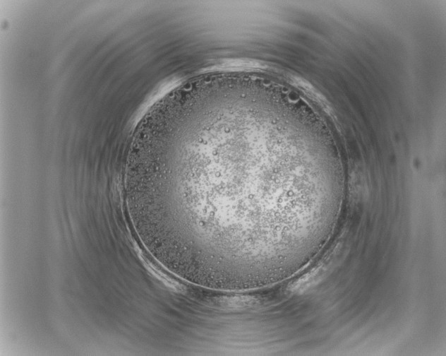 X0000059821425200510241344