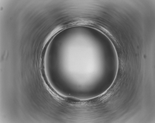 X0000059821426200510241344