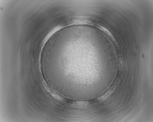 X0000059821427200510241344