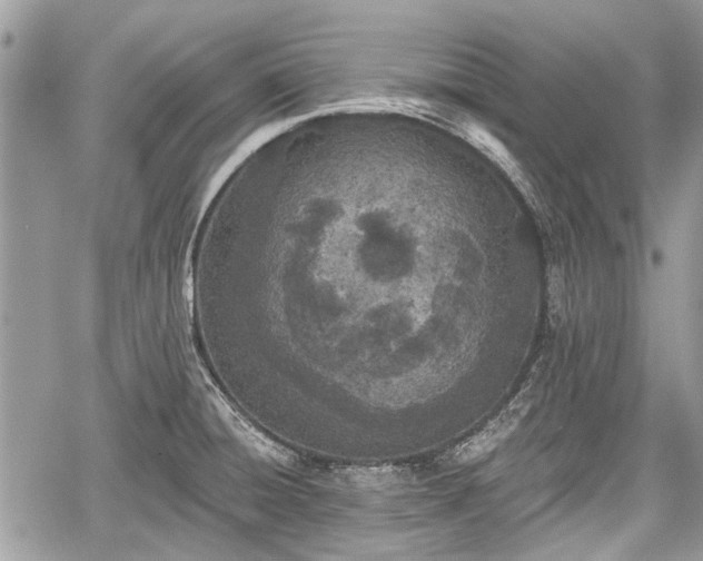 X0000059821428200510241344