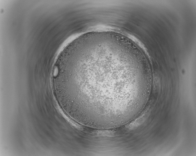 X0000059821429200510241344