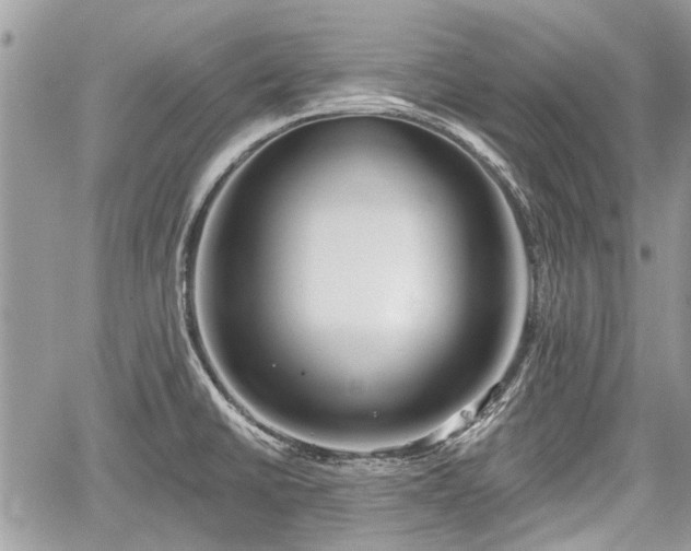 X0000059821430200510241344