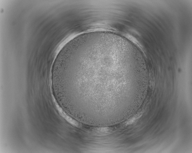 X0000059821431200510241344