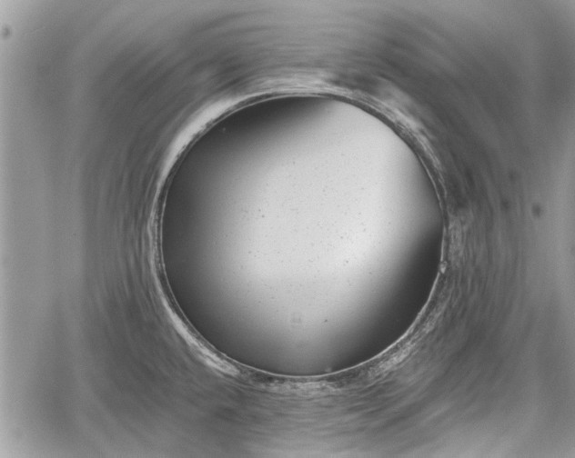 X0000059821432200510241344