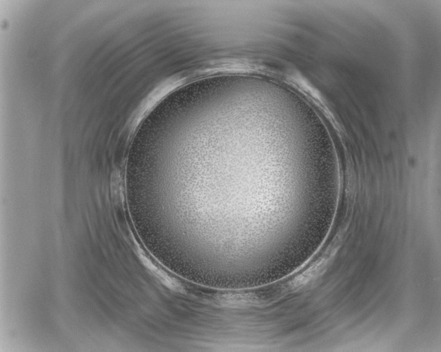 X0000059821433200510241344