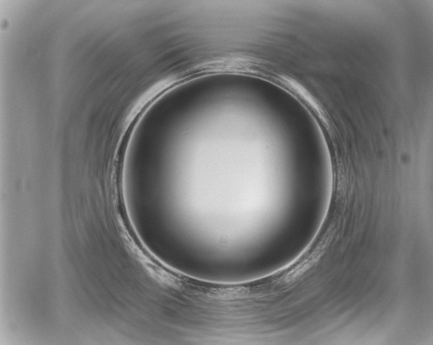 X0000059821434200510241344