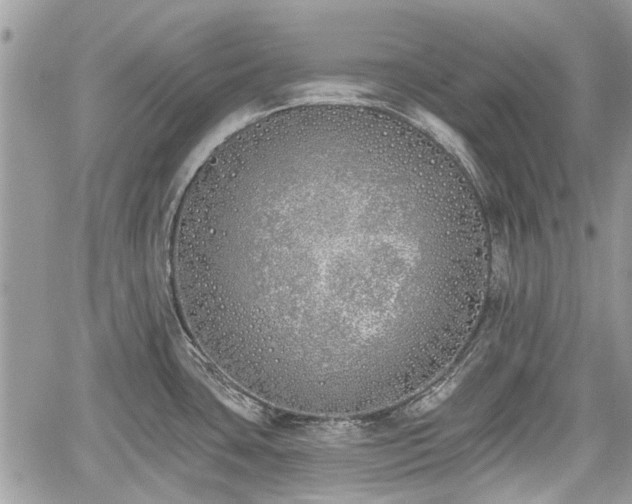 X0000059821435200510241344