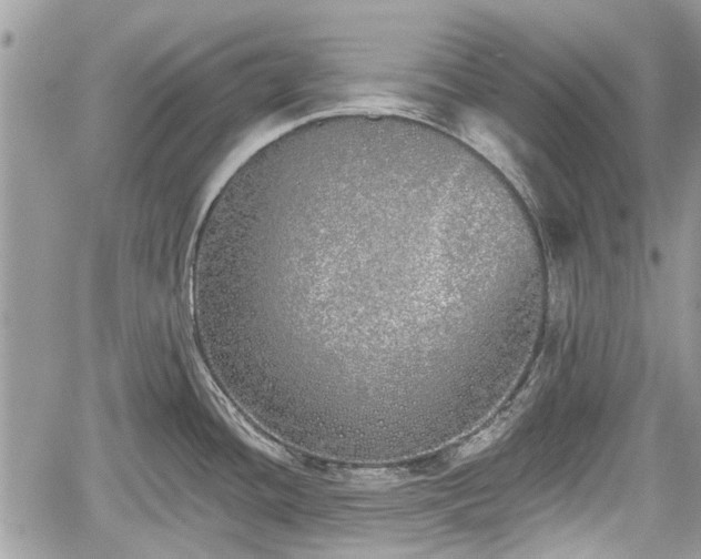 X0000059821436200510241344