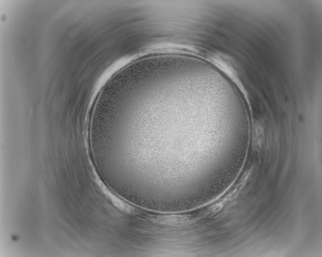 X0000059821437200510241344