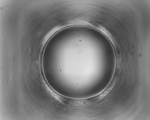 X0000059821438200510241344