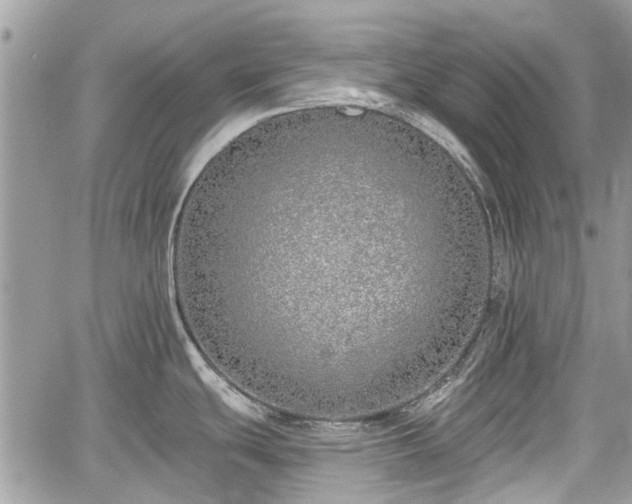 X0000059821439200510241344