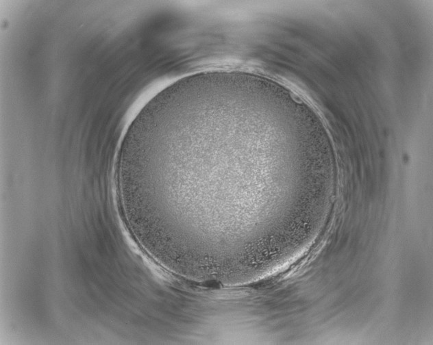 X0000059821440200510241344