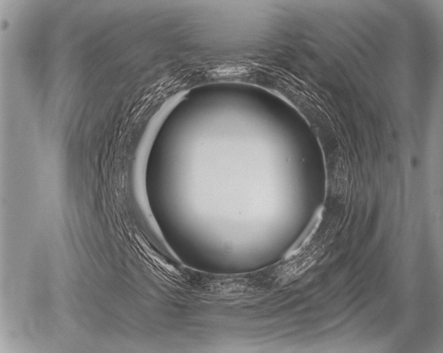 X0000059821441200510241343