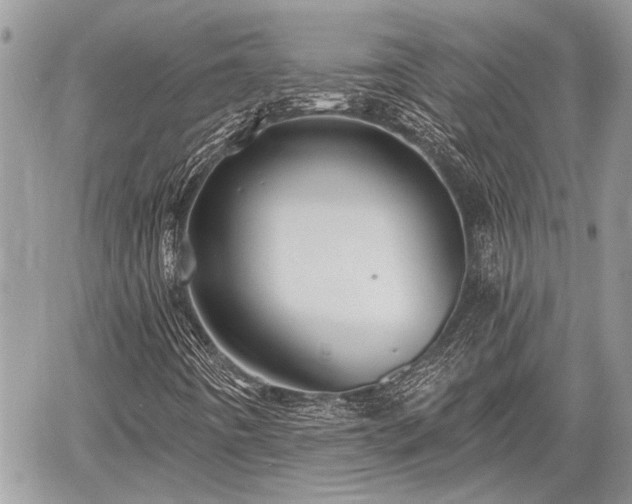 X0000059821442200510241343