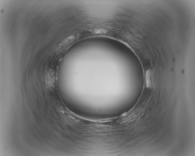 X0000059821443200510241343