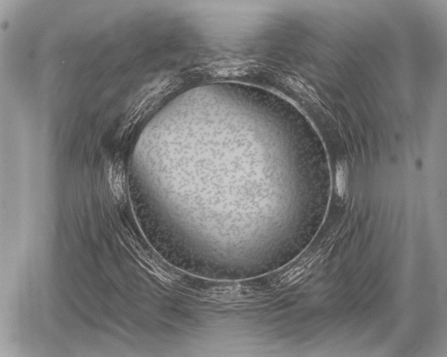 X0000059821444200510241343