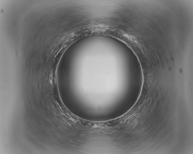 X0000059821445200510241343