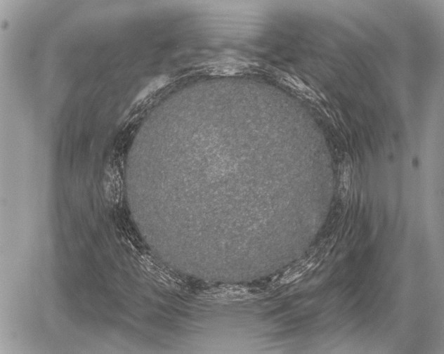 X0000059821446200510241343