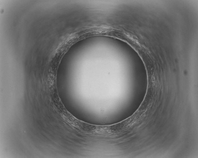 X0000059821447200510241343