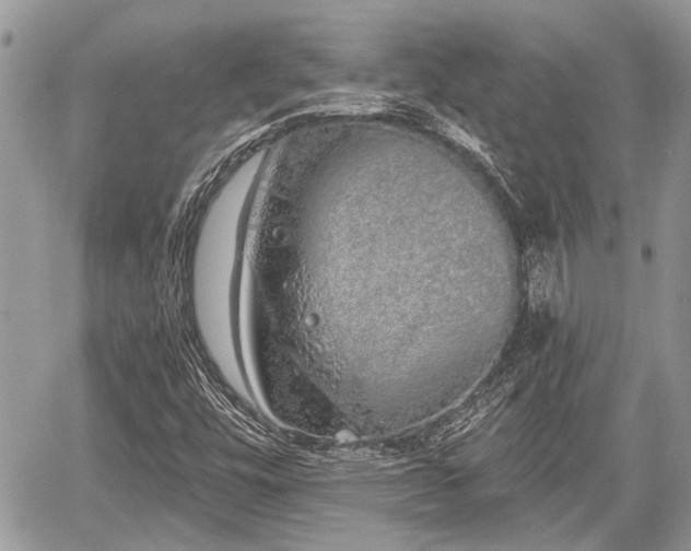 X0000059821448200510241343