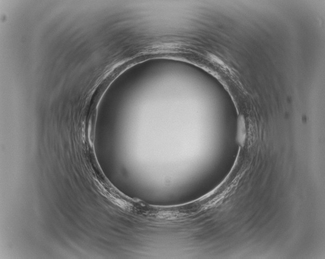 X0000059821449200510241343