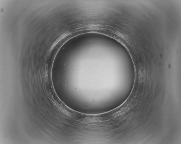 X0000059821450200510241343