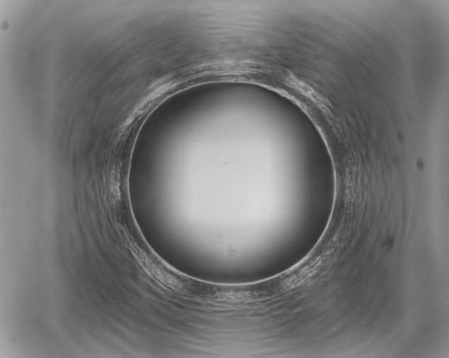 X0000059821451200510241343