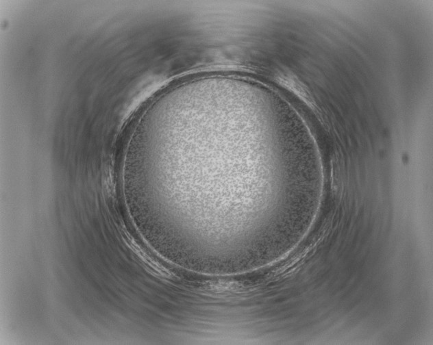 X0000059821452200510241343