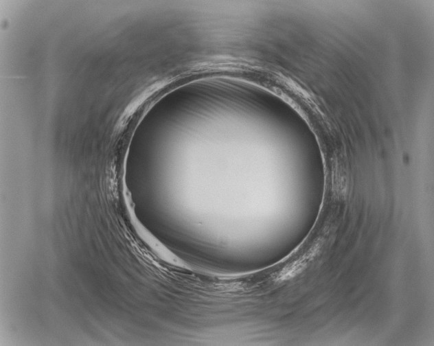 X0000059821453200510241343