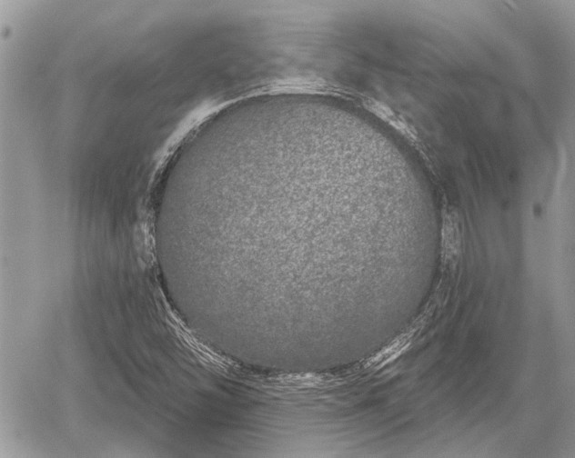 X0000059821454200510241343