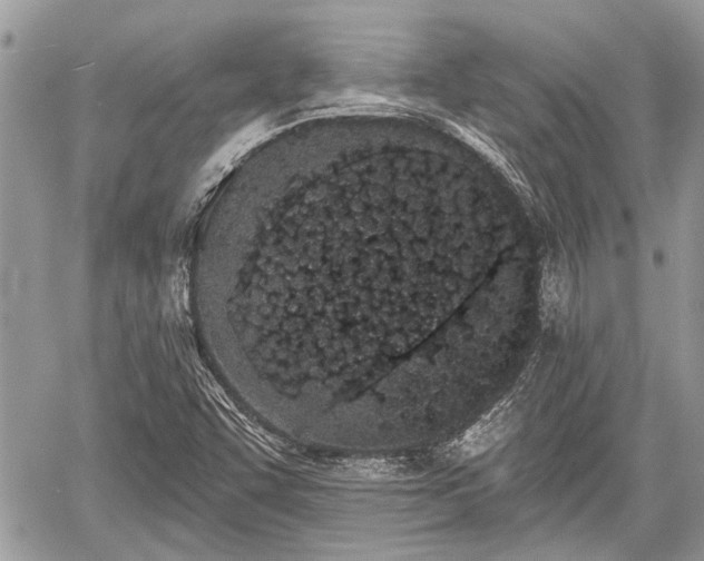 X0000059821455200510241343