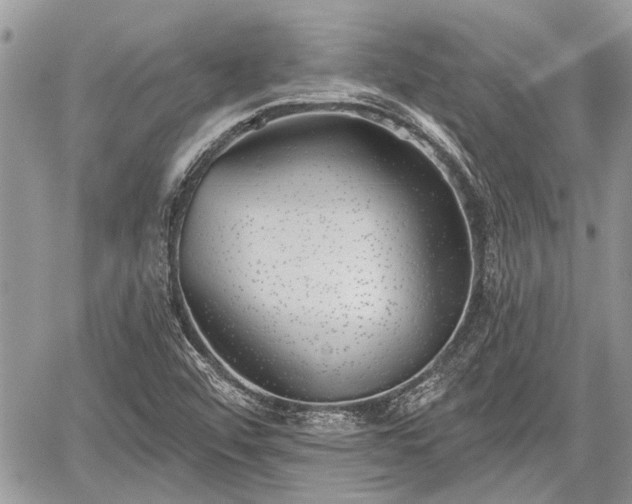 X0000059821456200510241343