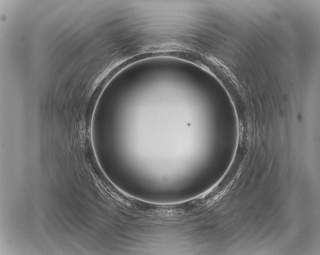 X0000059821457200510241343