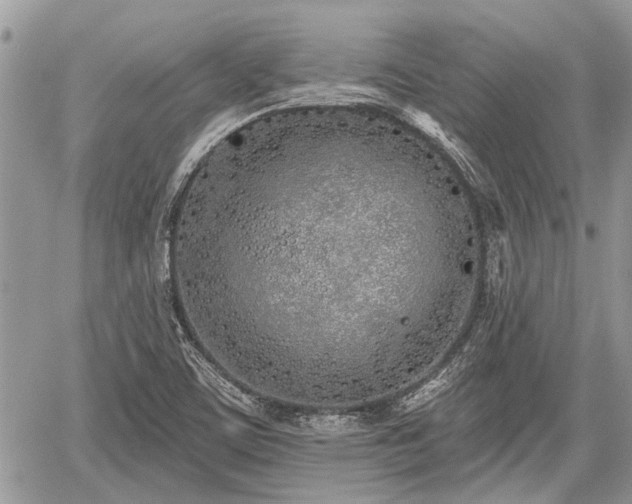 X0000059821459200510241343