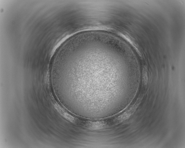 X0000059821460200510241343