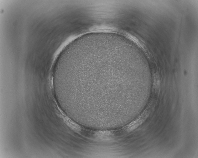 X0000059821462200510241343