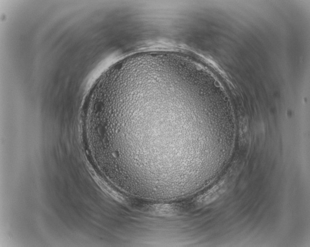 X0000059821463200510241343