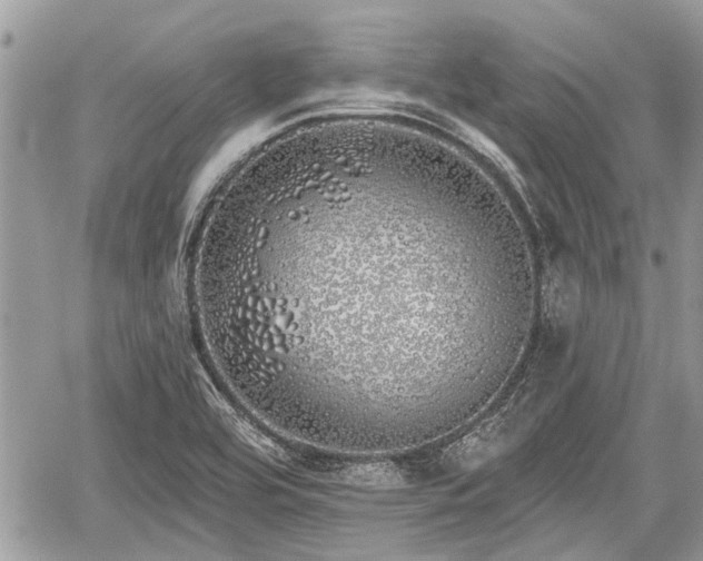 X0000059821464200510241343