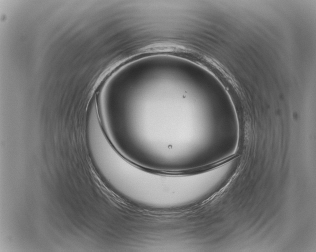 X0000059821465200510241343