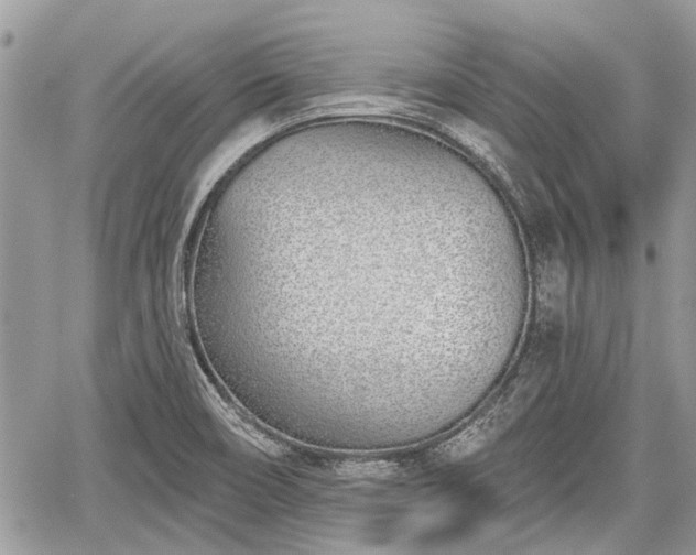 X0000059821466200510241343