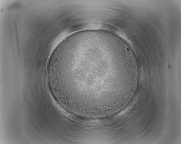 X0000059821467200510241343