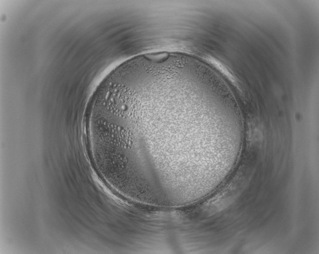 X0000059821468200510241343