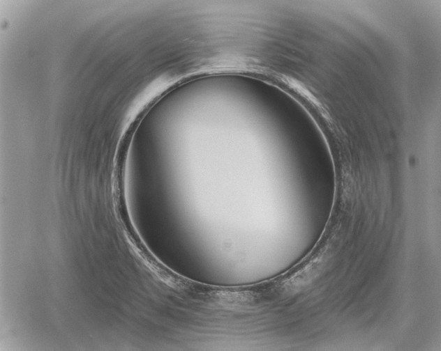 X0000059821469200510241343