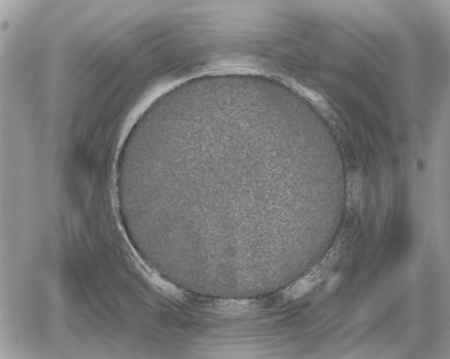 X0000059821470200510241343